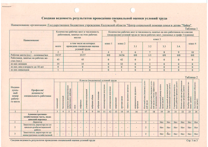 Сводная ведомость результатов проведения специальной оценки условий труда